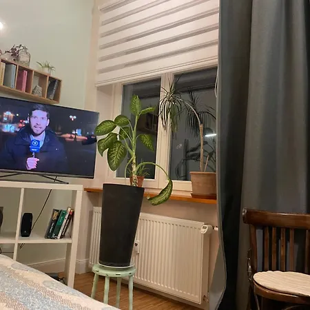 Shared , Zimmer Mieten 아파트