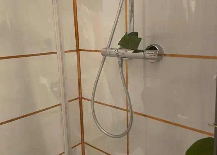 Lägenhet Shared , Zimmer Mieten Köln